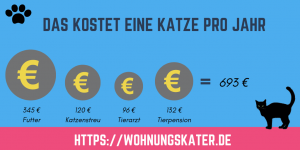 Was kostet eine Katze? - Wohnungskater.de