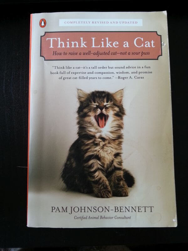 Think Like A Cat